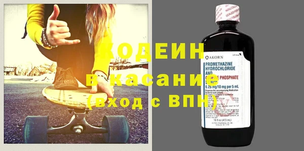 прущие грибы Аркадак