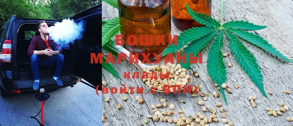 прущие грибы Аркадак