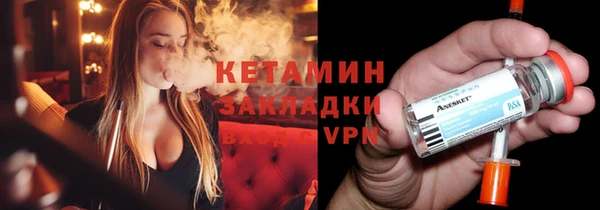 прущие грибы Аркадак