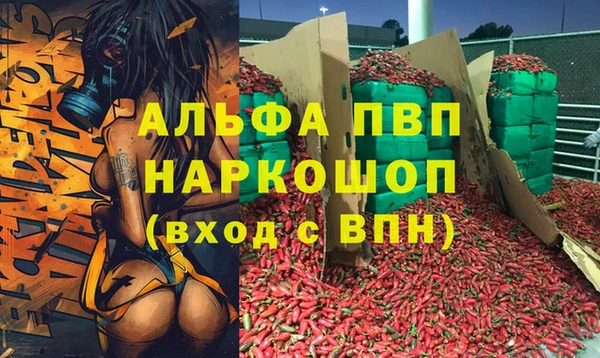 прущие грибы Аркадак