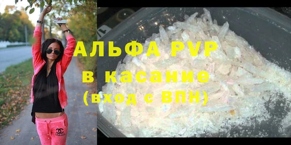 прущие грибы Аркадак