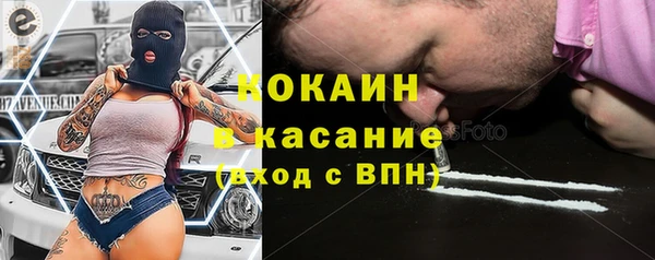 сатива Армянск