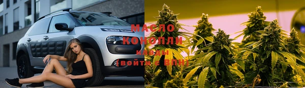 прущие грибы Аркадак