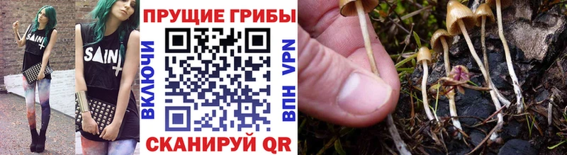 Галлюциногенные грибы MAGIC MUSHROOMS  что такое   Междуреченск 