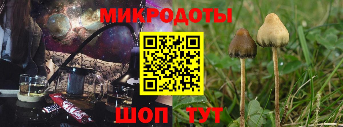 Междуреченск  Галлюциногенные грибы мухоморы  Вход с VPN  Галлюциногенные грибы Cubensis 