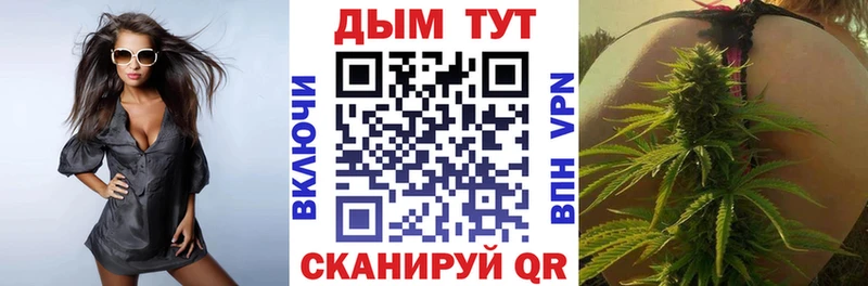 Канабис сатива Междуреченск
