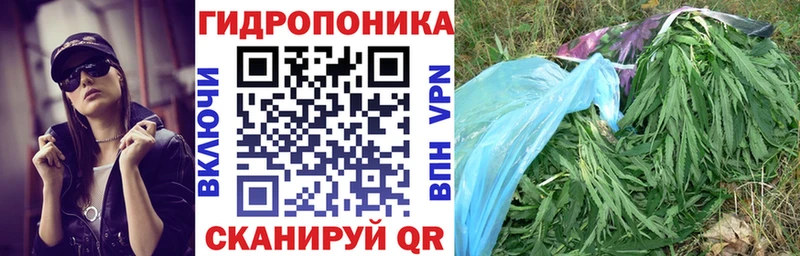 дарнет шоп  Междуреченск  Каннабис OG Kush 